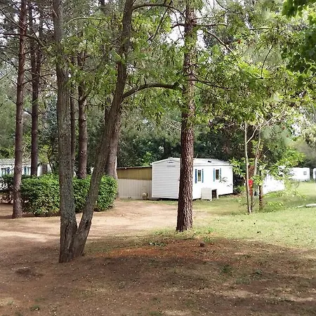 Camping U Moru Figari (Corsica)