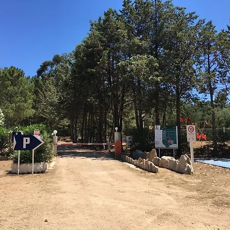 Camping U Moru Figari (Corsica)