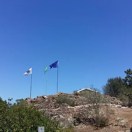 Campsite U Moru Figari (Corsica)