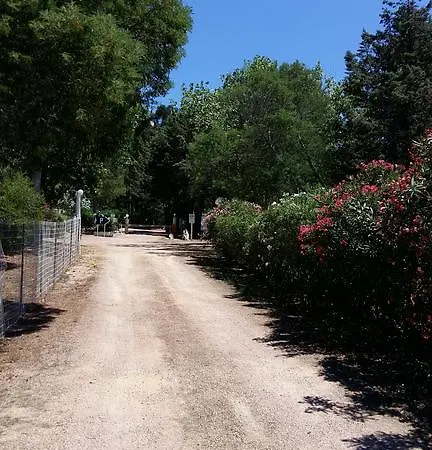 Camping U Moru 3*